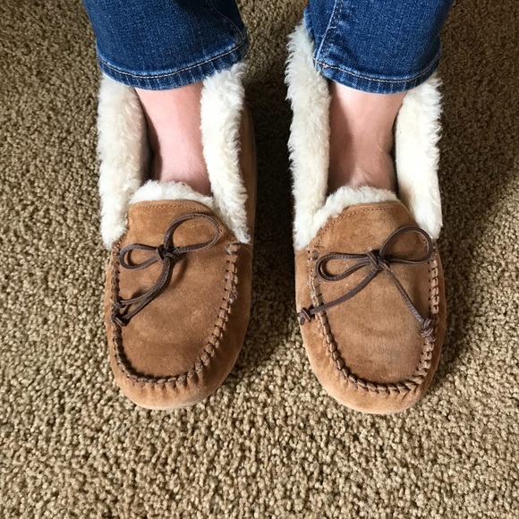 alena slipper ugg